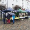 JARMARK_2023_ZDJ