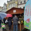 JARMARK_2023_ZDJ